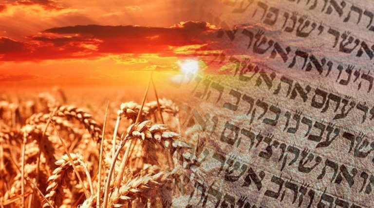 Shavuot: The Day Heaven and Earth Became One