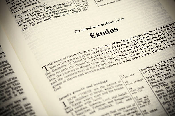 Literary Nature of the Bible: Genres Narrative